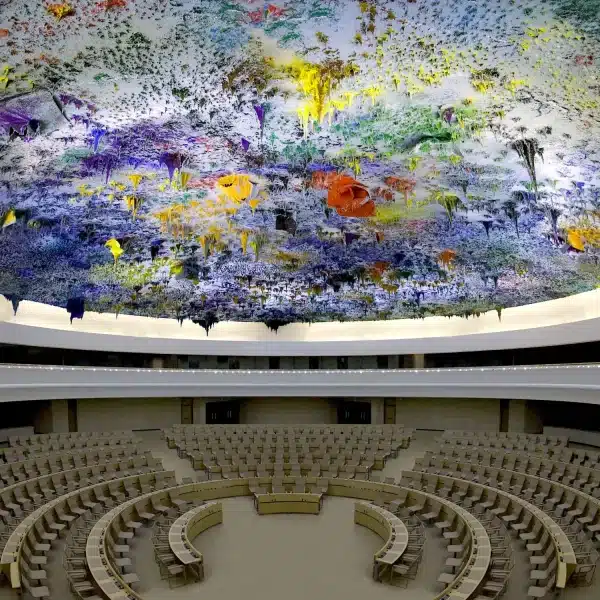 organismos internacionales